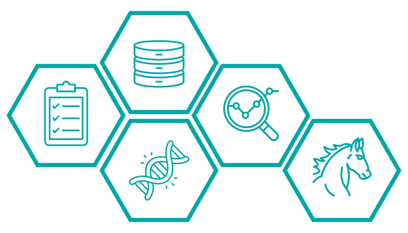 Des études statistiques originales pour une nouvelle vision de l'élevage de Trotteur Français